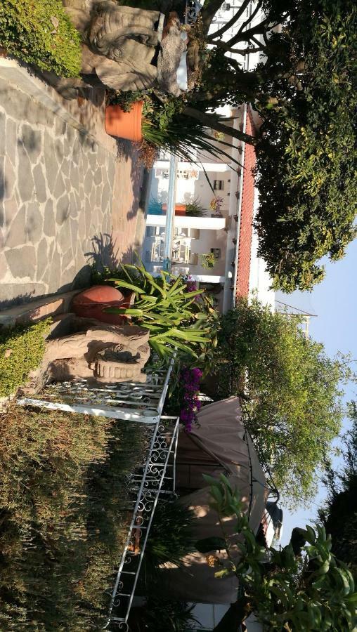 Hotel La Baronesa 테키스키아판 외부 사진